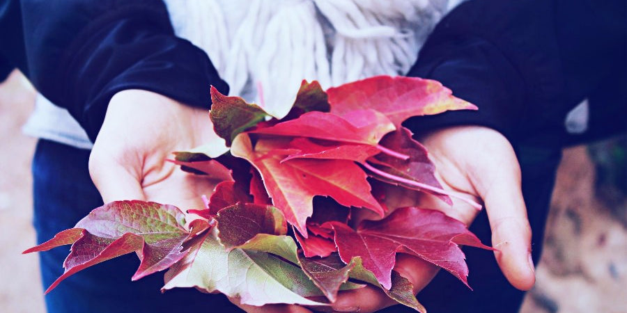 20 Things We Love About Fall
