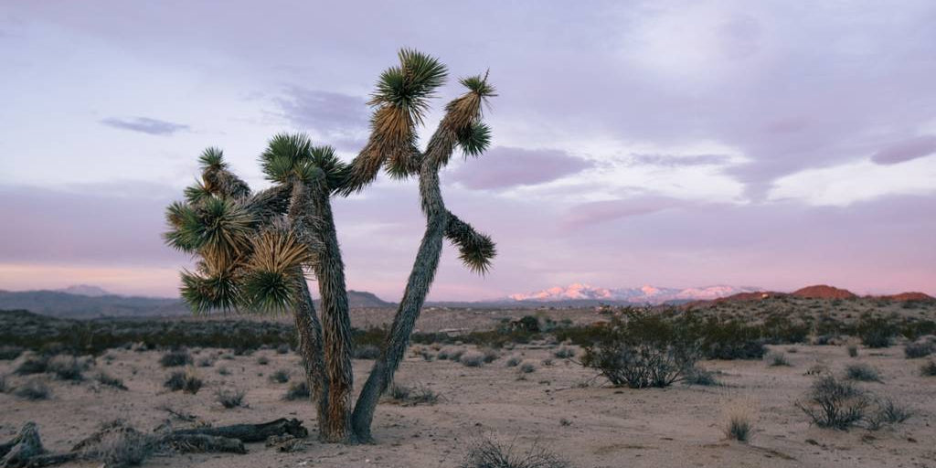 Behind The Scenes : Summer '18 Photoshoot